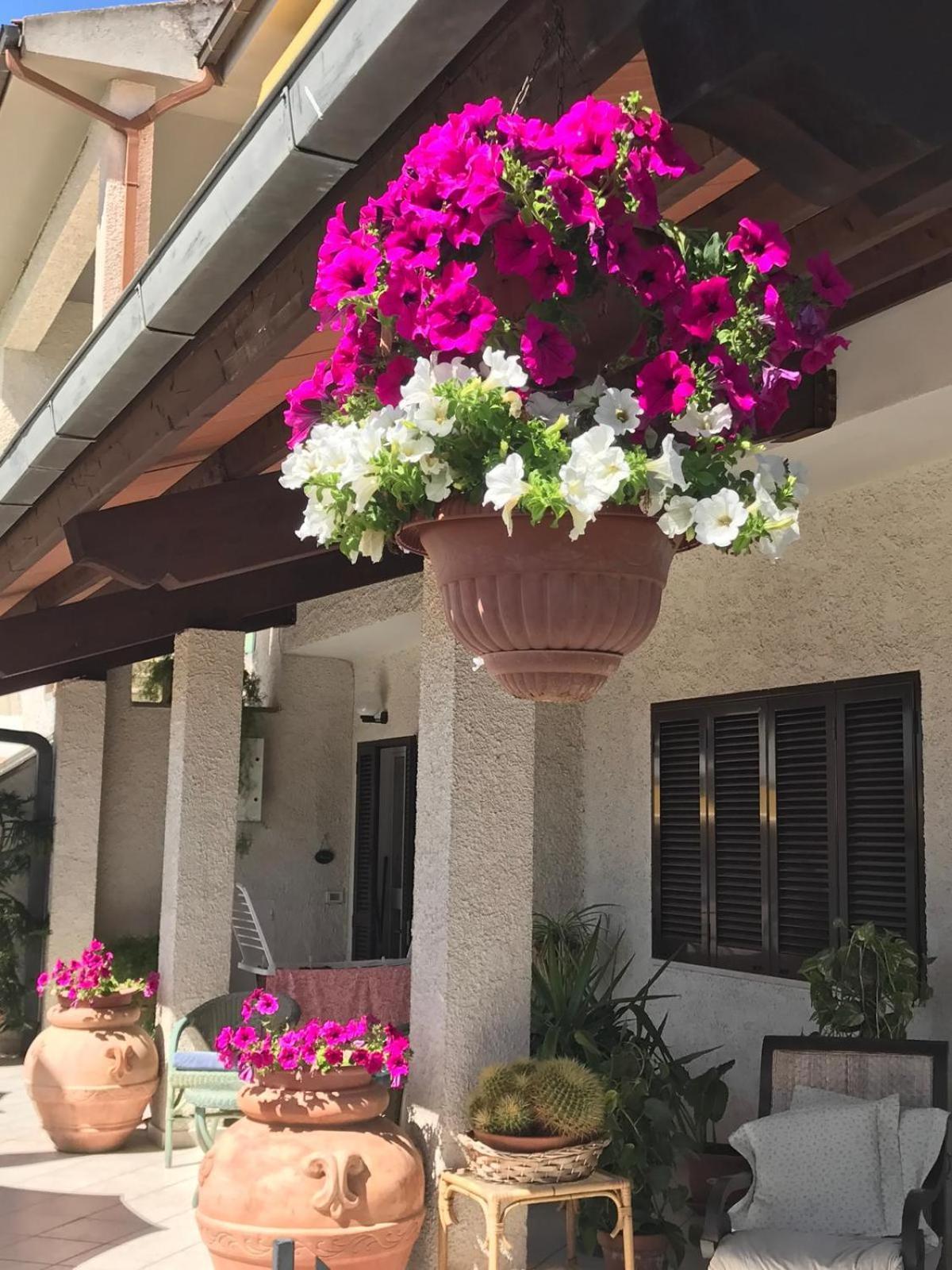 Hotel B&B Rispescia Grosseto Екстериор снимка