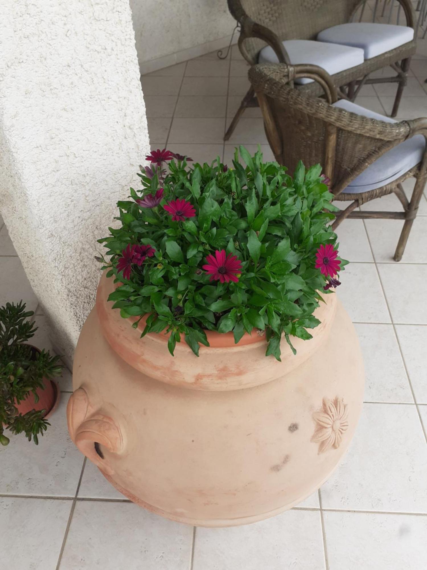 Hotel B&B Rispescia Grosseto Екстериор снимка