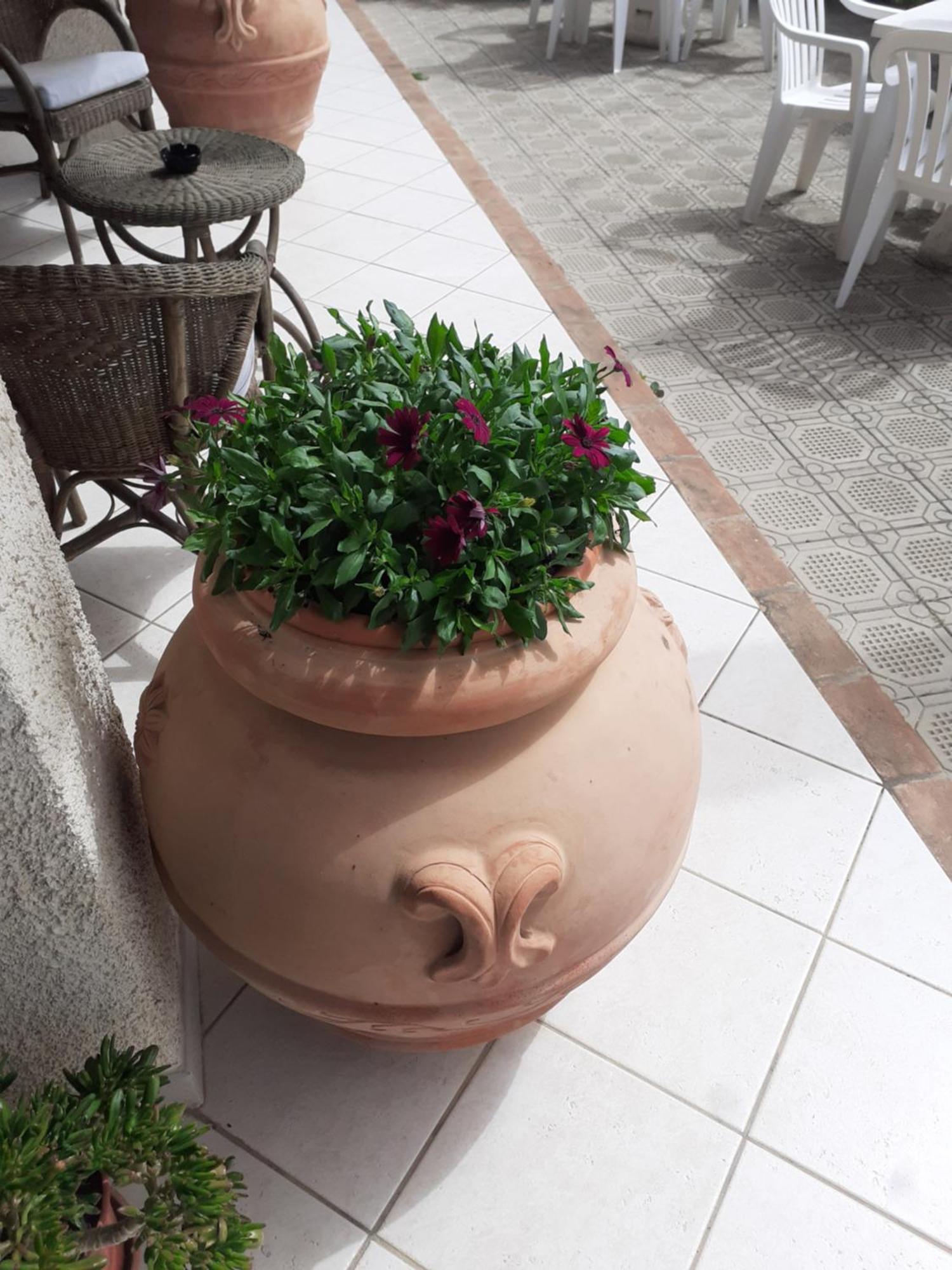 Hotel B&B Rispescia Grosseto Екстериор снимка