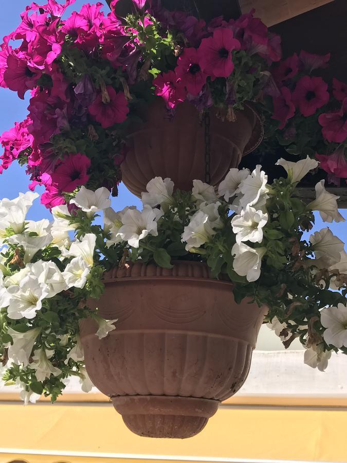 Hotel B&B Rispescia Grosseto Екстериор снимка